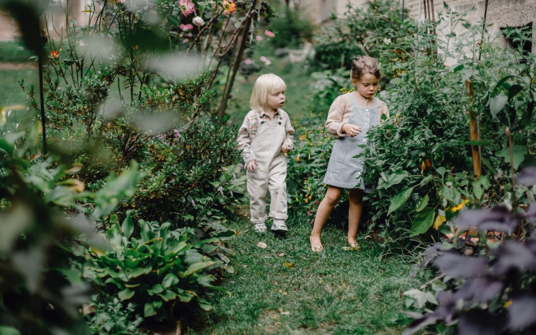 children looking at a plant